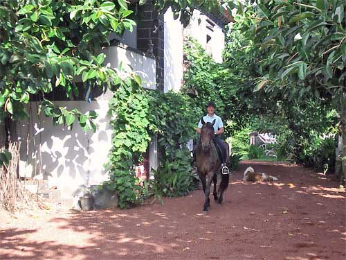 Christina riding